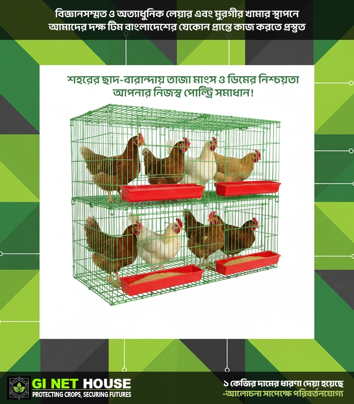 BSRM - M3 আধুনিক পোল্ট্রি খাঁচা (প্লাস্টিক লেমিনেটেড তার) - Feature Photo